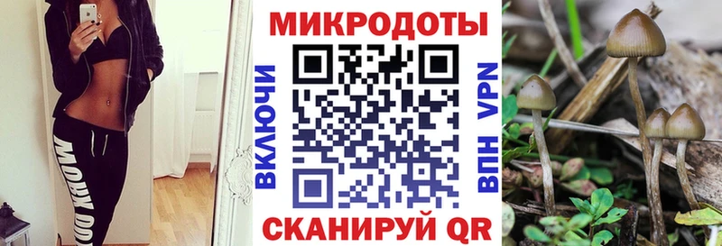 OMG рабочий сайт Шумиха даркнет клад Псилоцибиновые грибы Magic Shrooms
